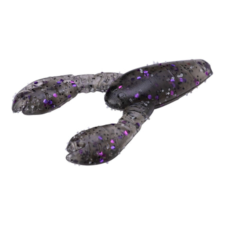 PRGLFSC21005