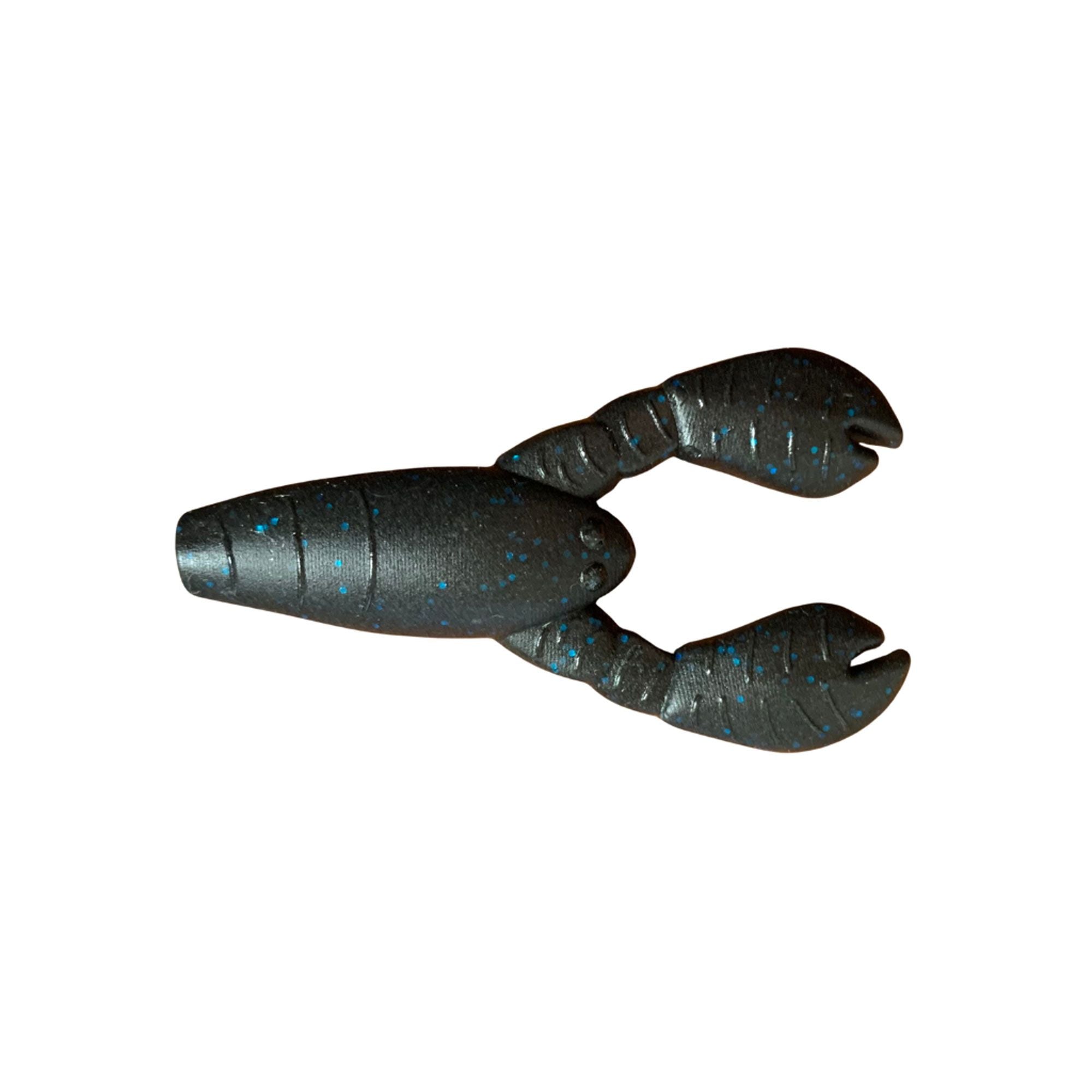 PRGLFSC21024F