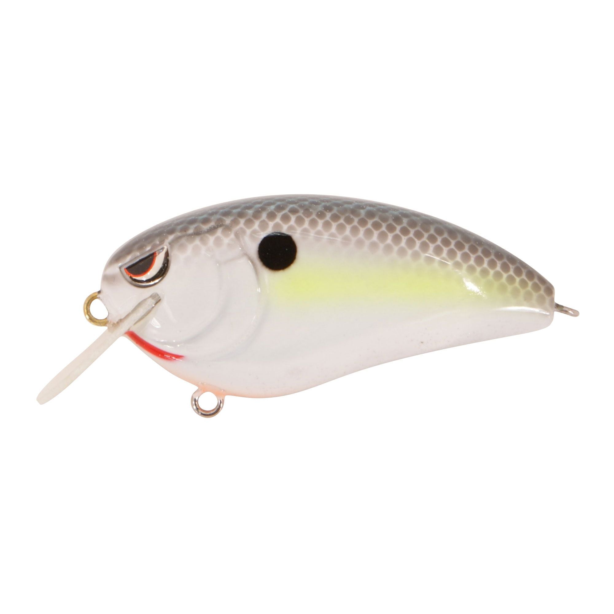 GUSFJ60NSD