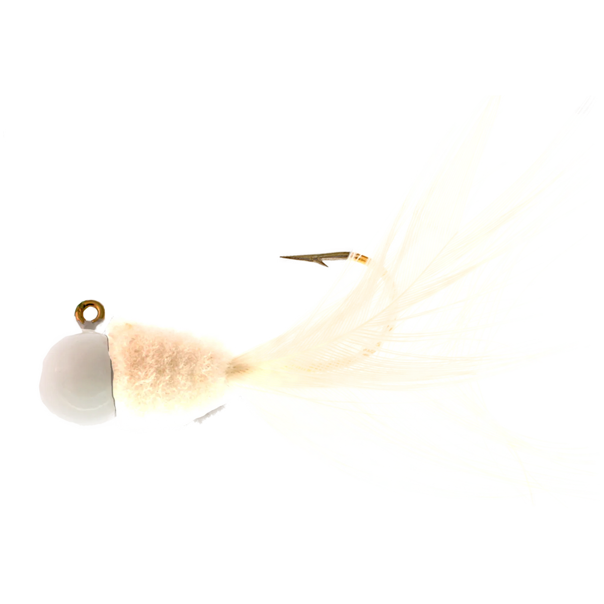 TTSD2D701