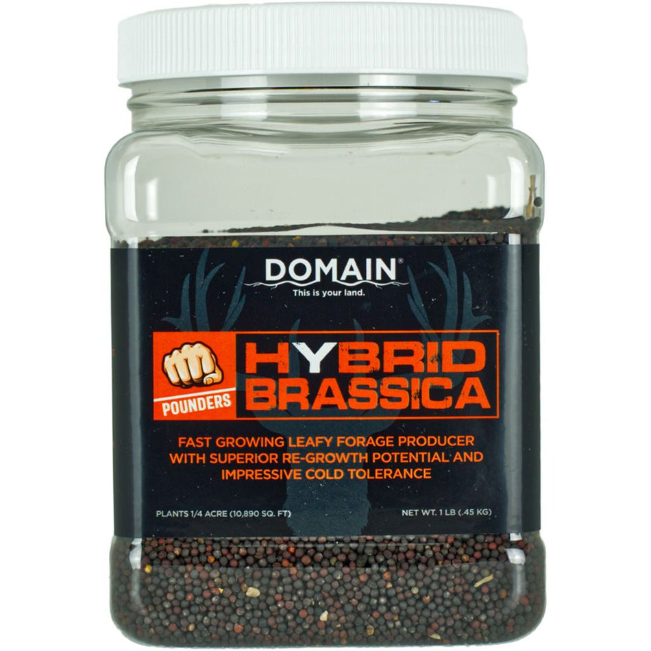 DHBS1LB