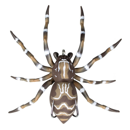 LHSPIDER02
