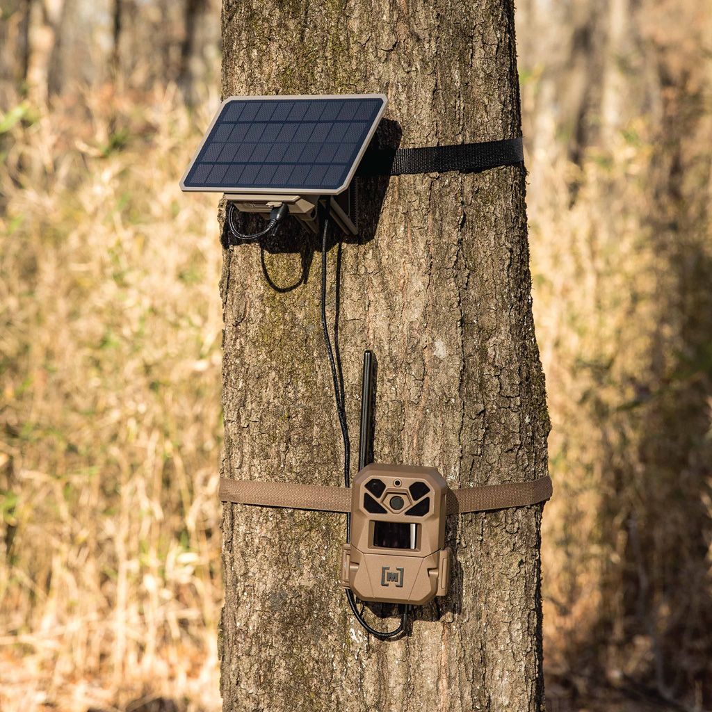 Moultrie Edge 3 Cellular Trail Camera Plus 3.4W Solar Panel - Lifesyle