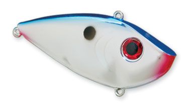 SKREYESD14401