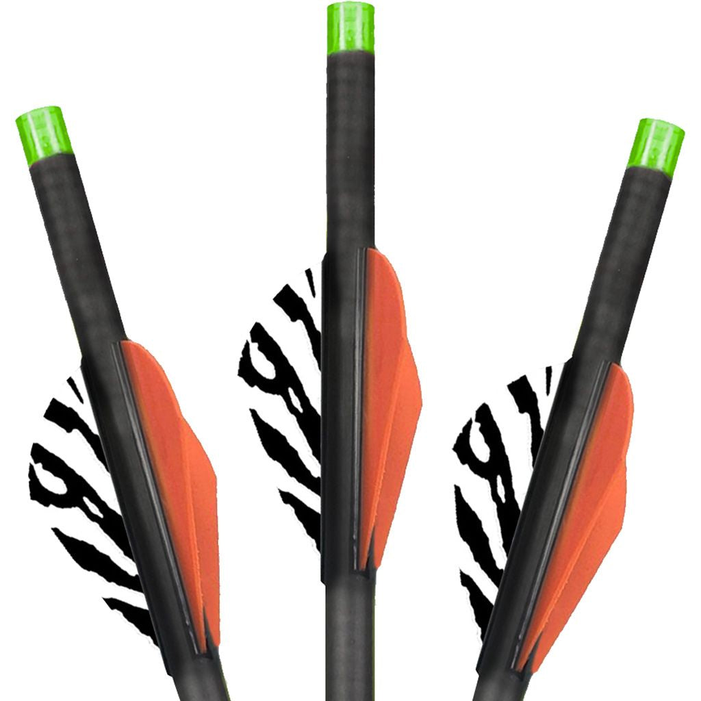 BECC223G