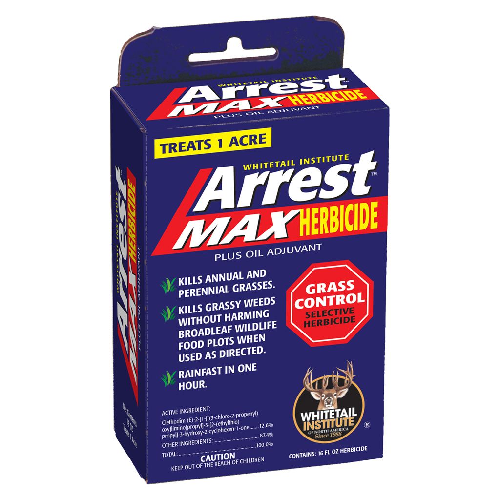 AM1P