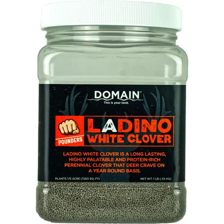 DLWCS1LB