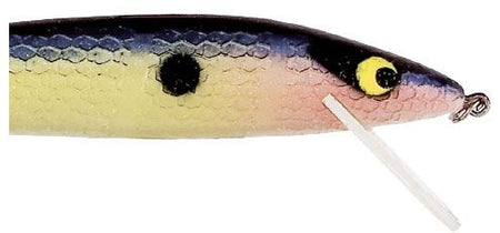 PRASDRB12196