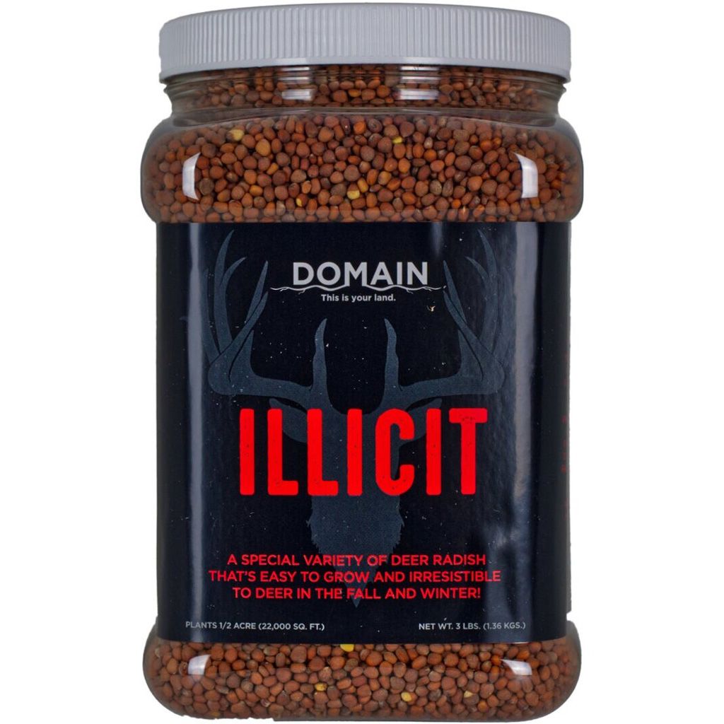 ILLFP3