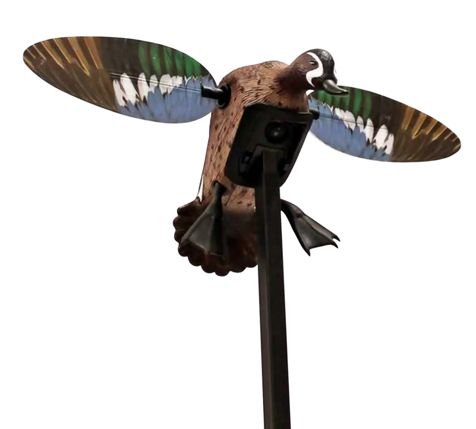 Mojo Elite Series Blue Wing Teal Duck Decoy - Remote Ready