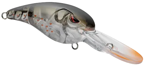 GUSRCD50GOC