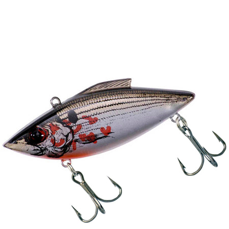 RTTT37