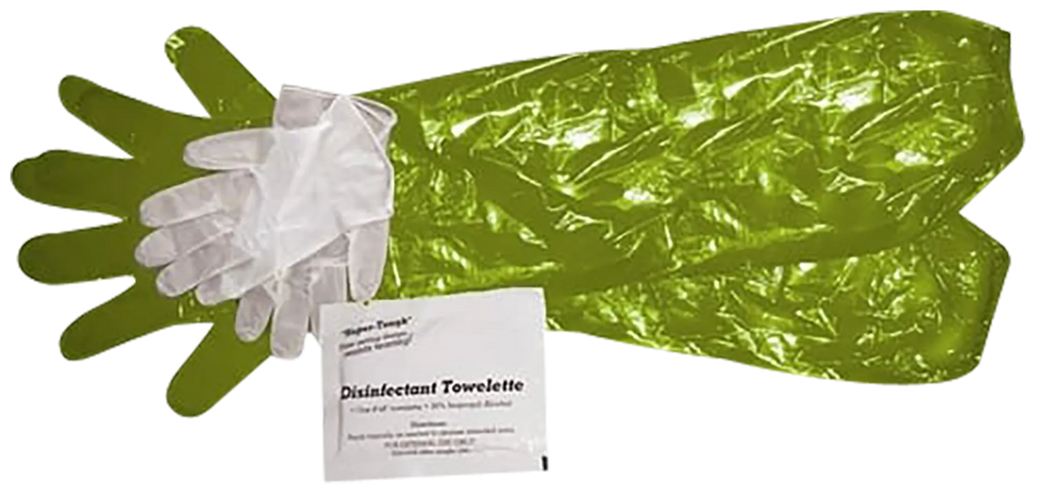 Game Cleaning Shoulder Length Form-Fitting Gloves - Lime Green