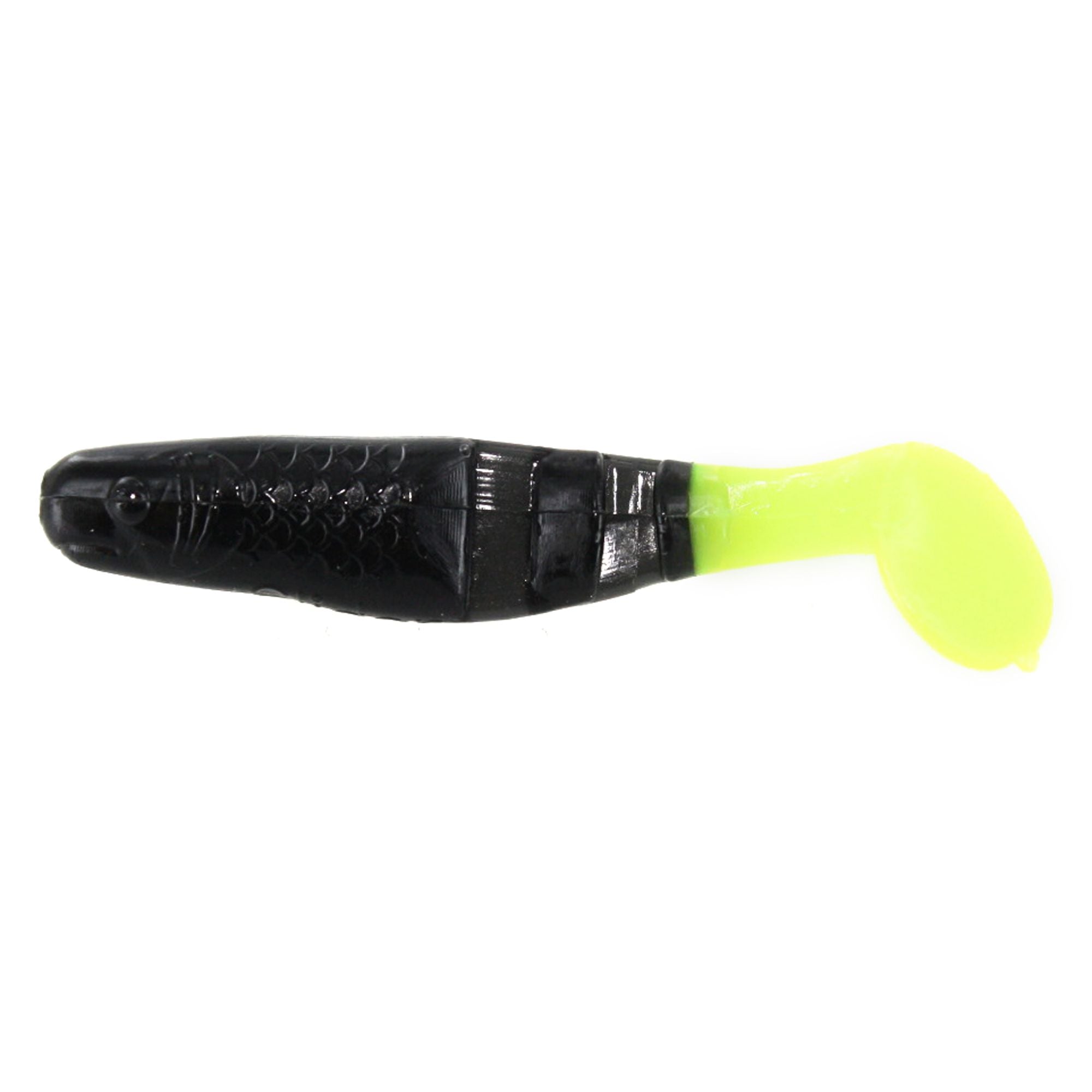 CBSMF5