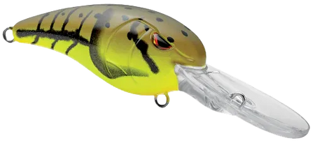 GUSRCD50SCW