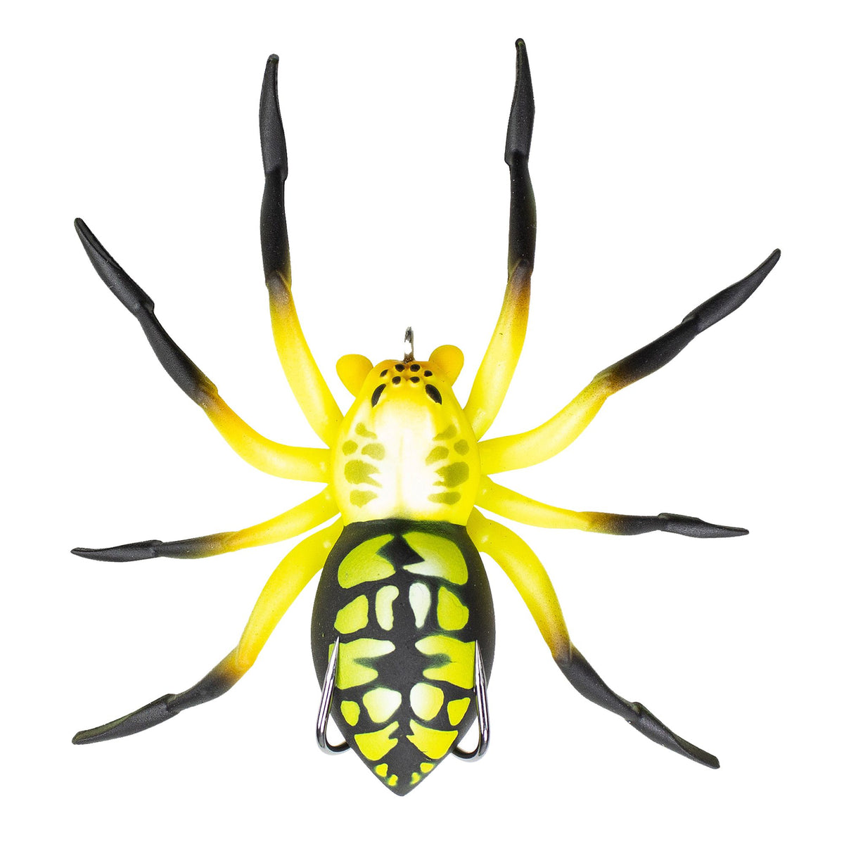 LHSPIDER04