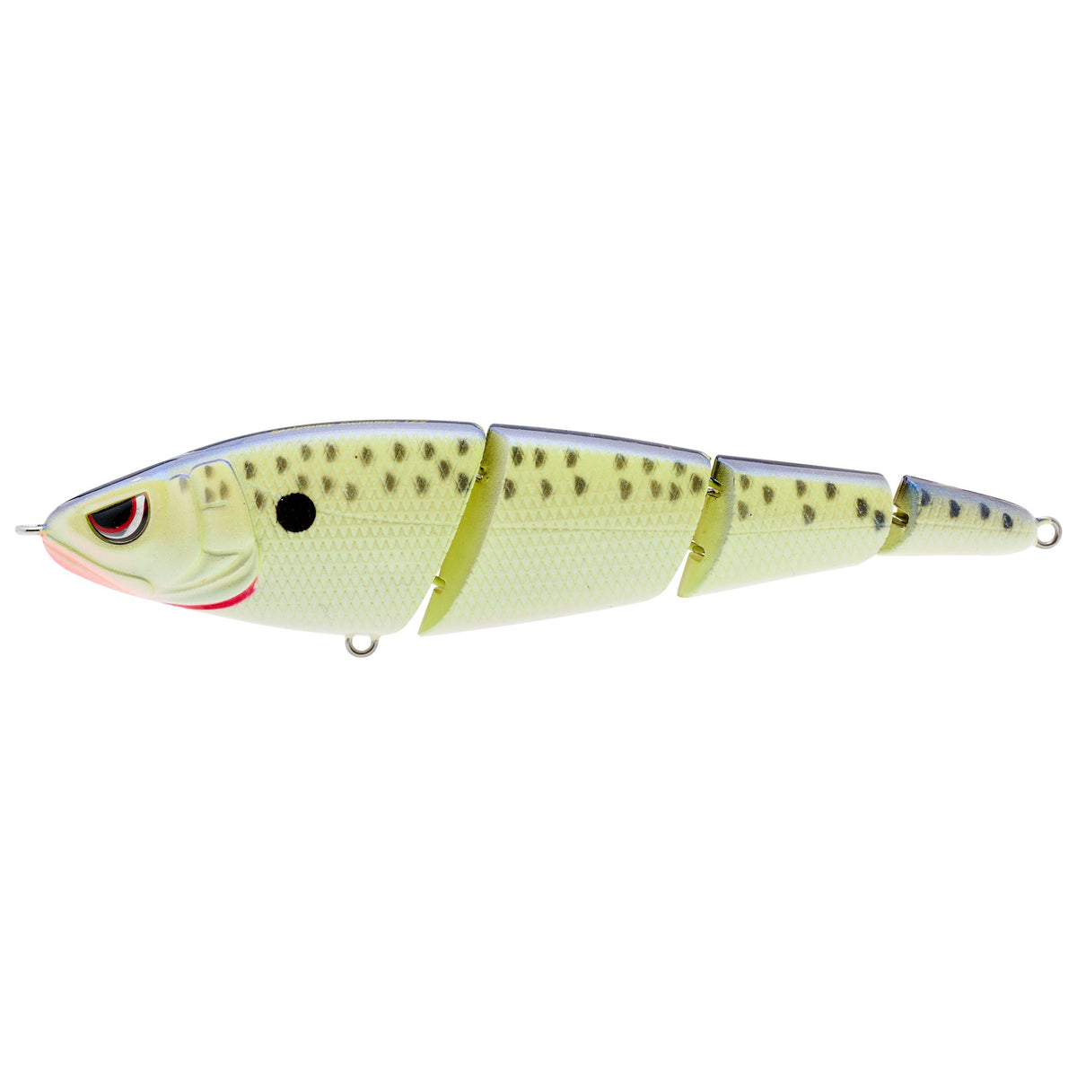 GUSSS125CMT