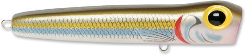 NMCB081271