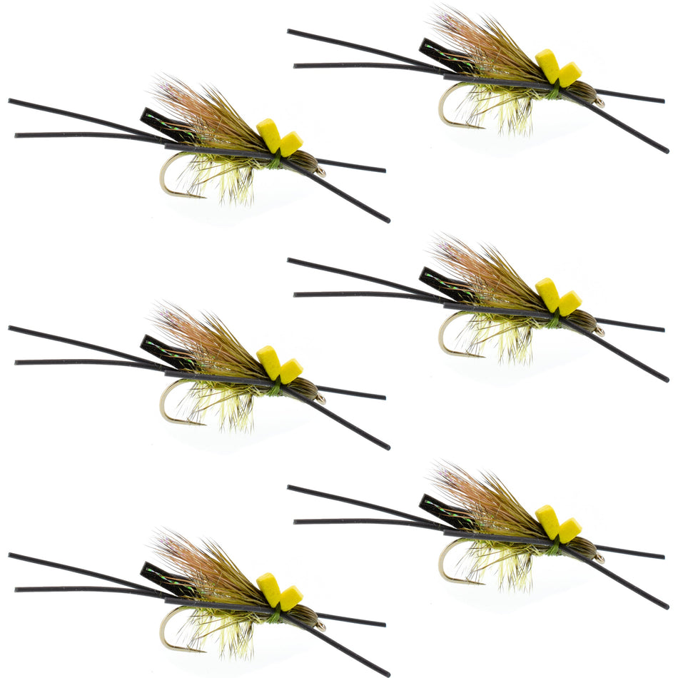 Long Tail Skwala Stone Fly Dry Trout Flies - Adult Squalla Stonefly Dry Fly - 6 Flies Hook Size 10