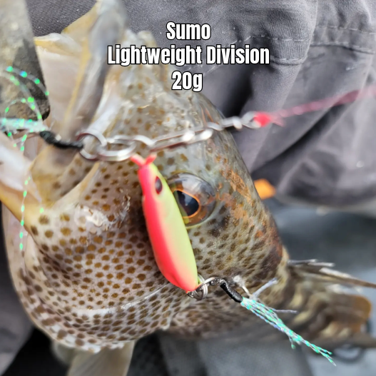 Submission Jigs - Sumo - Lightweight Division