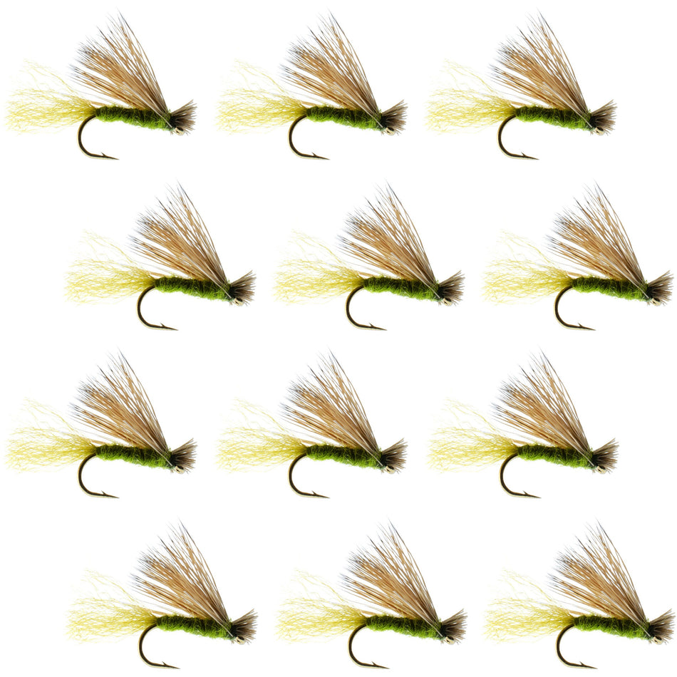 Olive X Caddis Emerging Caddis Adult Trout Dry Fly - 1 Dozen Flies Hook Size 18