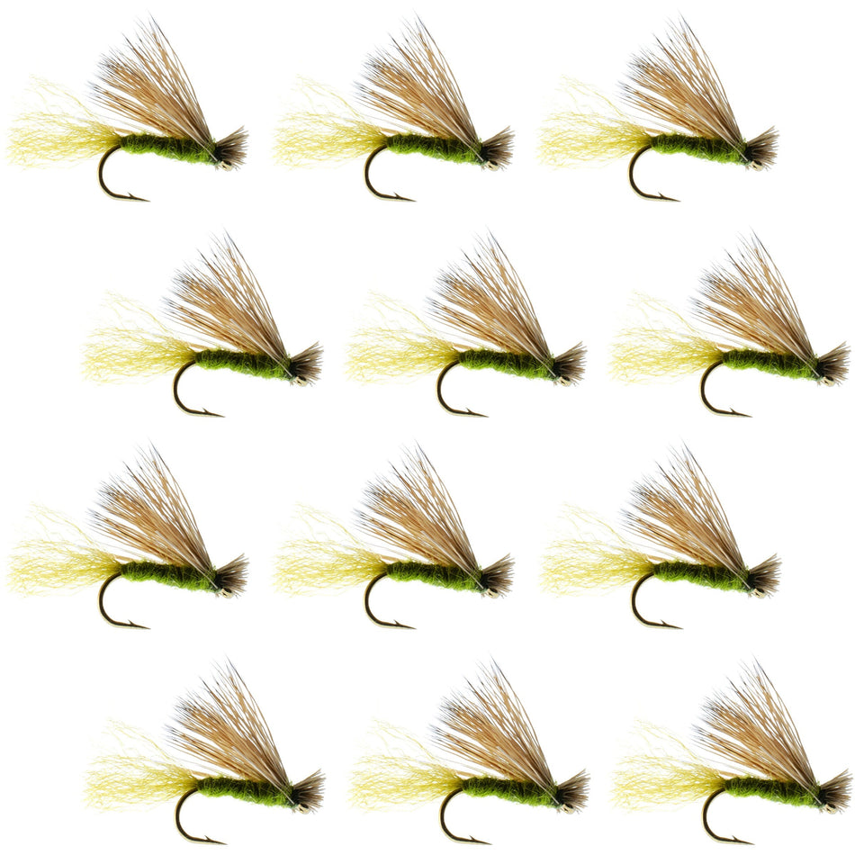 Olive X Caddis Emerging Caddis Adult Trout Dry Fly - 1 Dozen Flies Hook Size 16